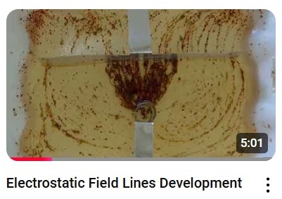 Electrostatic Field Lines Video